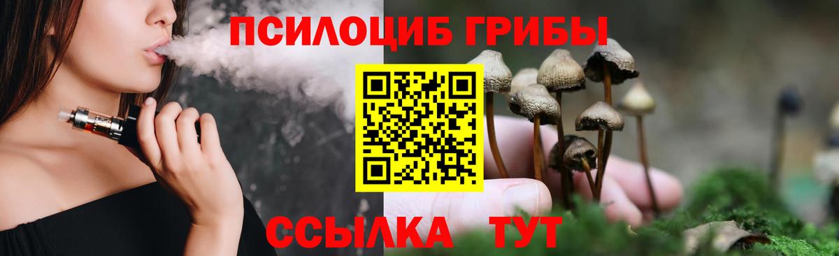 Галлюциногенные грибы мицелий Торжок